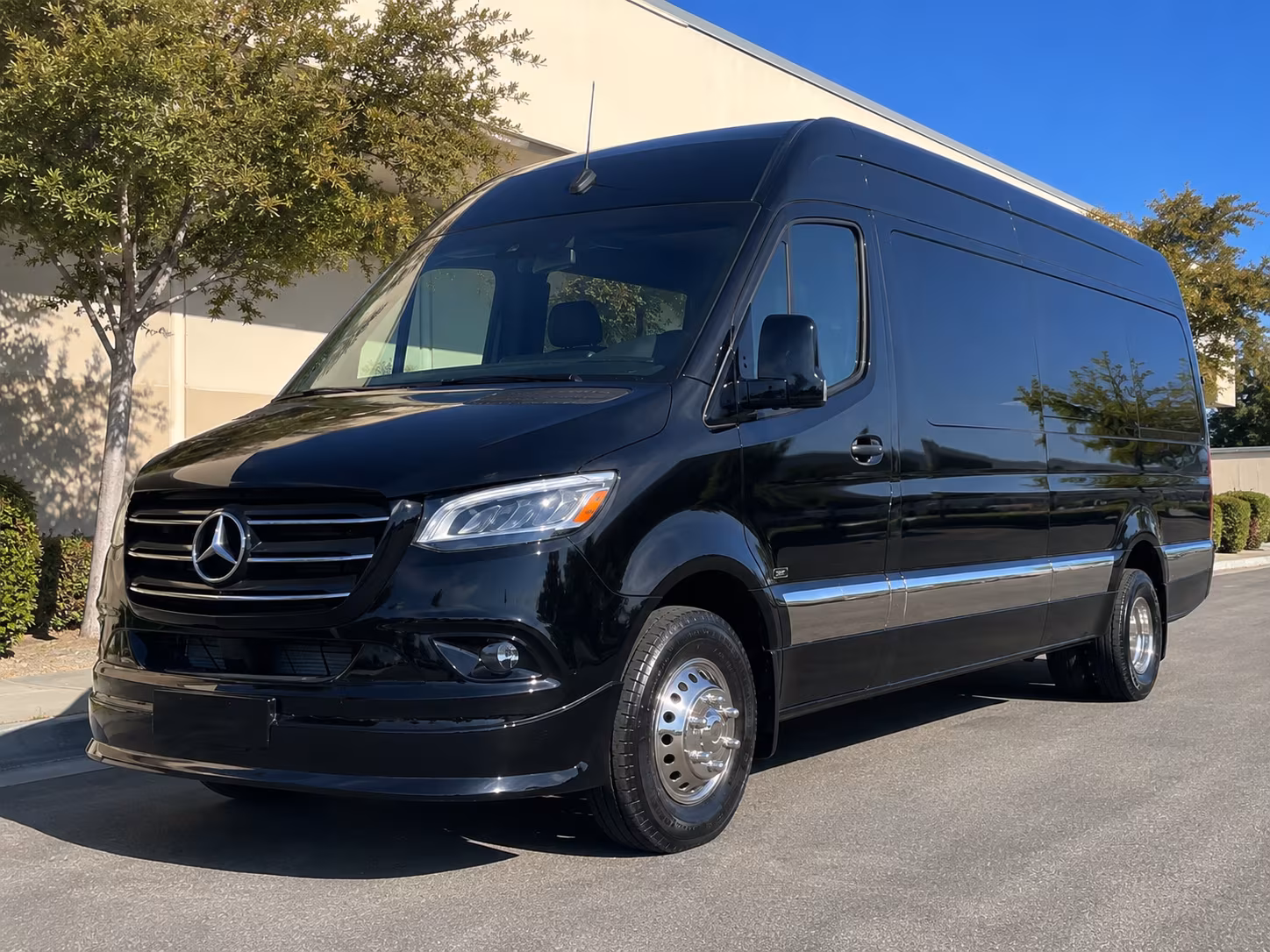 sprinter vans and minibuses for executive and small group corporate travel